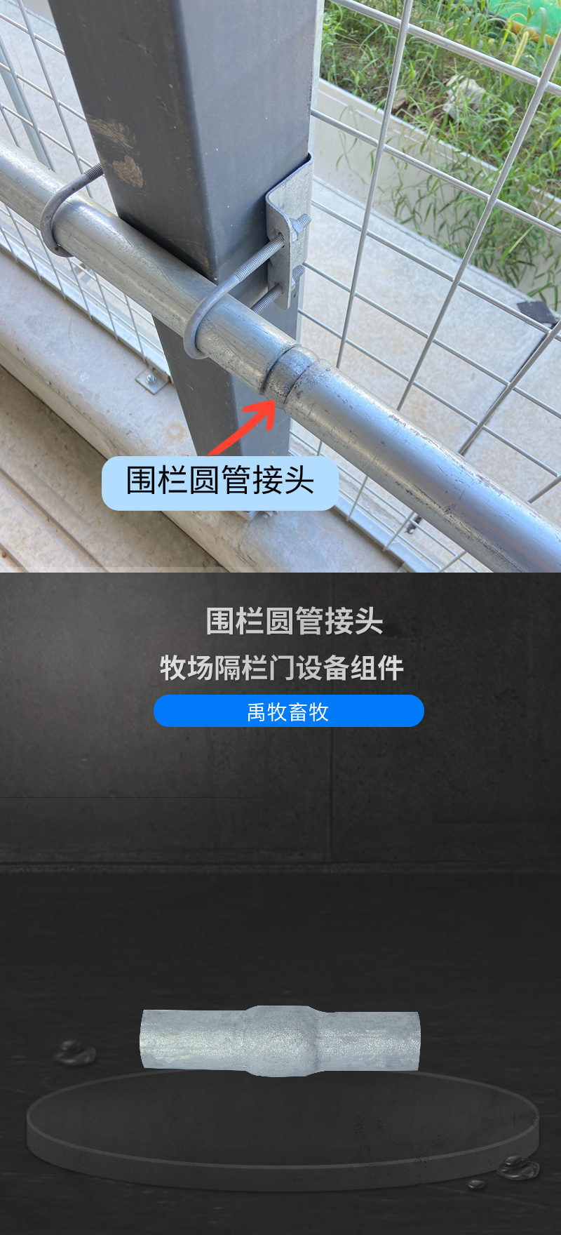首屏.png